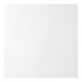 Usg Interiors 12x12 Ceil Tile 4290